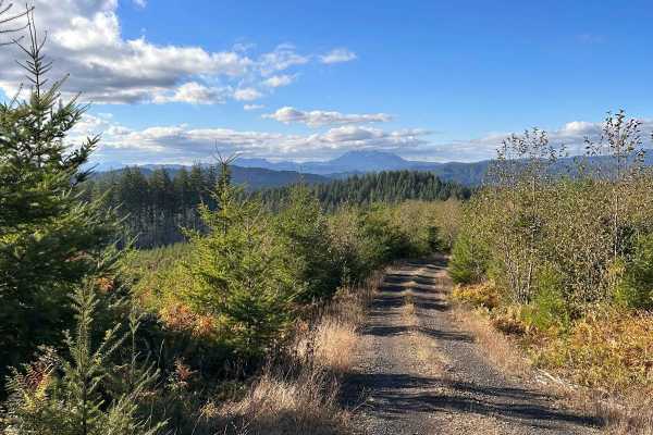 Wage to Walker Ridge