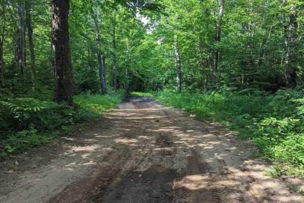 Old Forge Backcountry 1