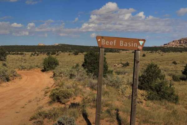 Beef Basin Road Loop - San Juan County B104