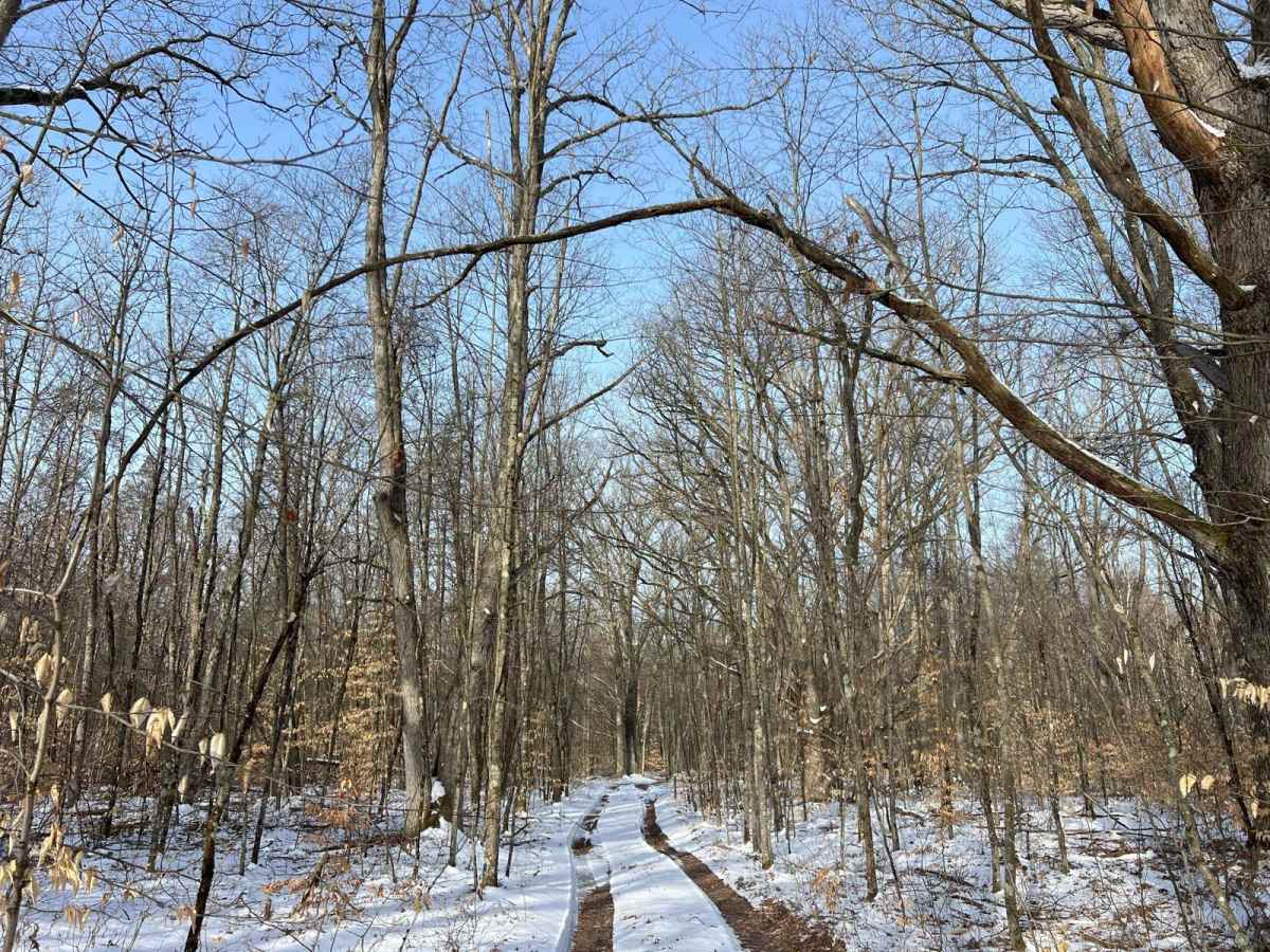 NFS 9597 trail photo