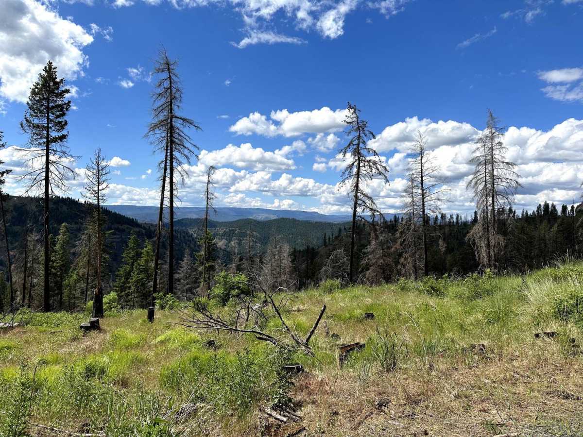 Rock Creek Road photo 6