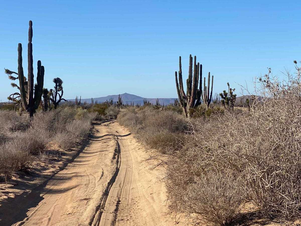 Four Corners East photo 4