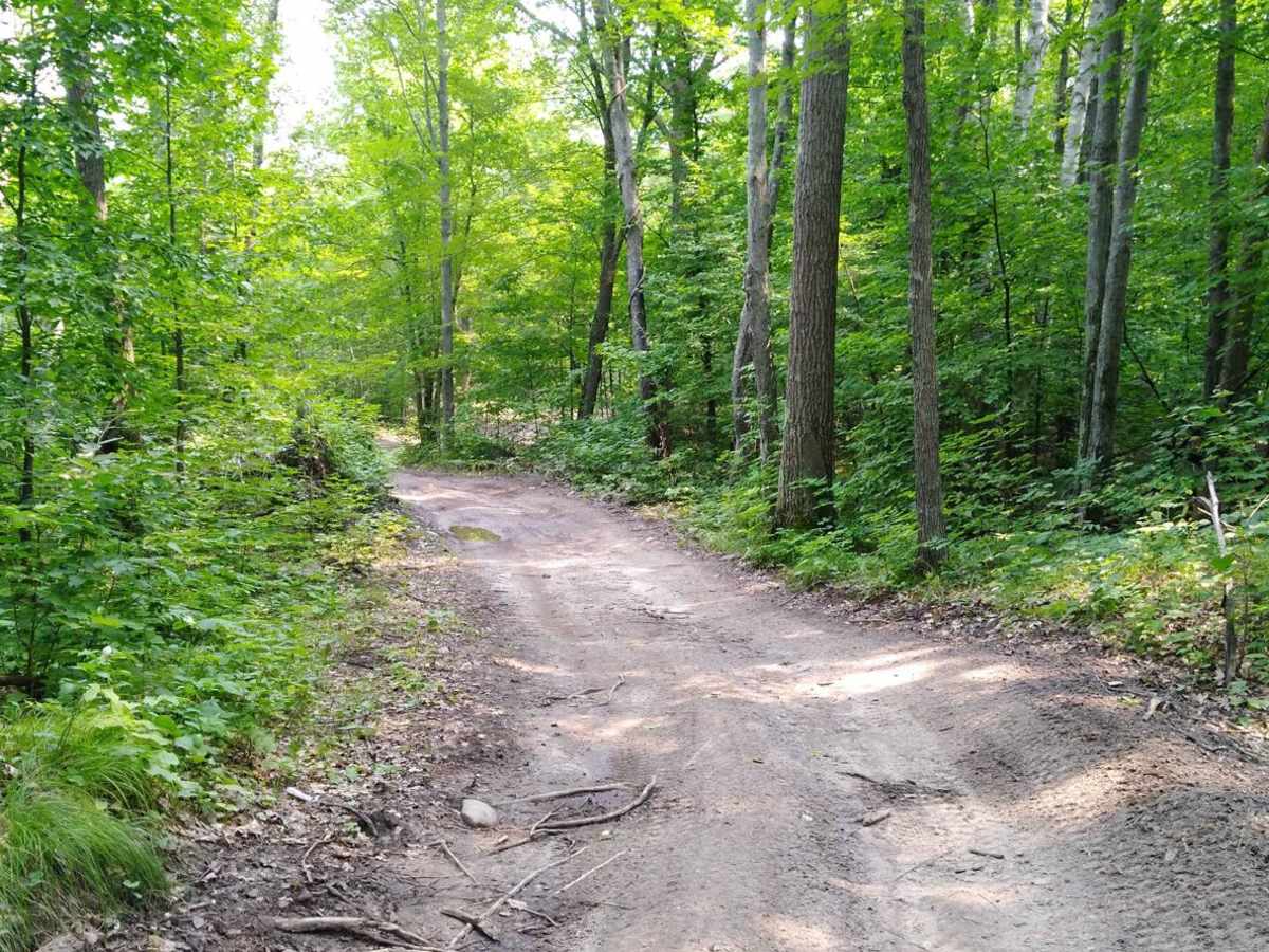 Emily - Blind Lake Trail - East 106 photo 5