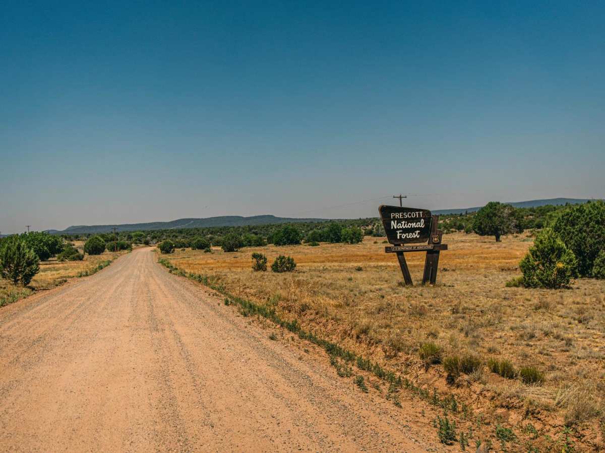 Fair Oaks to Spider Ranch photo 5