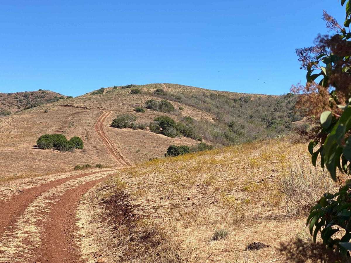 La Bocana to San Jose trail photo