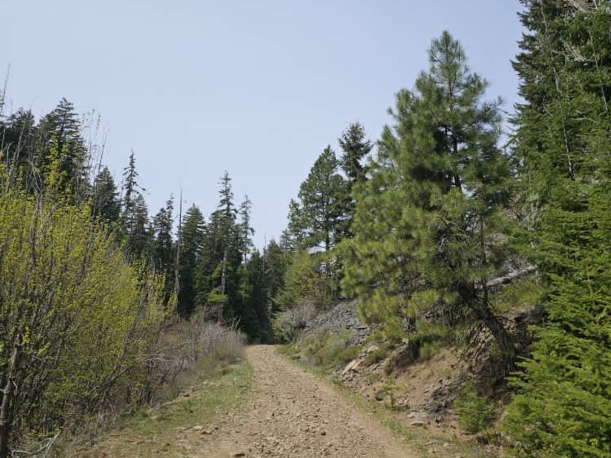 Cedar Creek Road photo 4