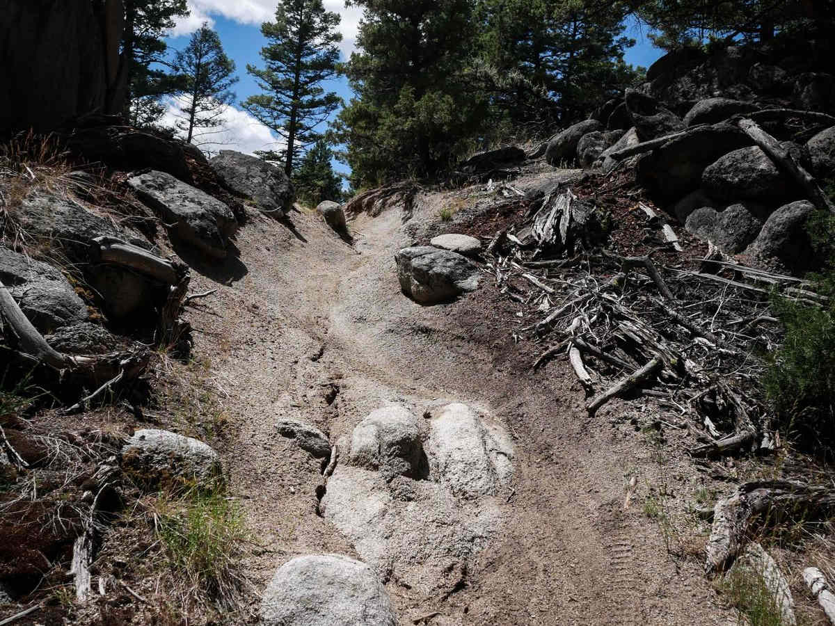 BLM 11 photo 4