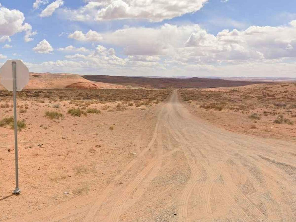 Spring Desert Road - BLM13410 trail photo