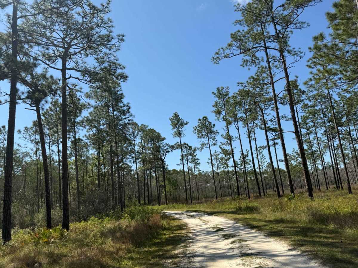 Rowletts Creek - FS 106S photo 2