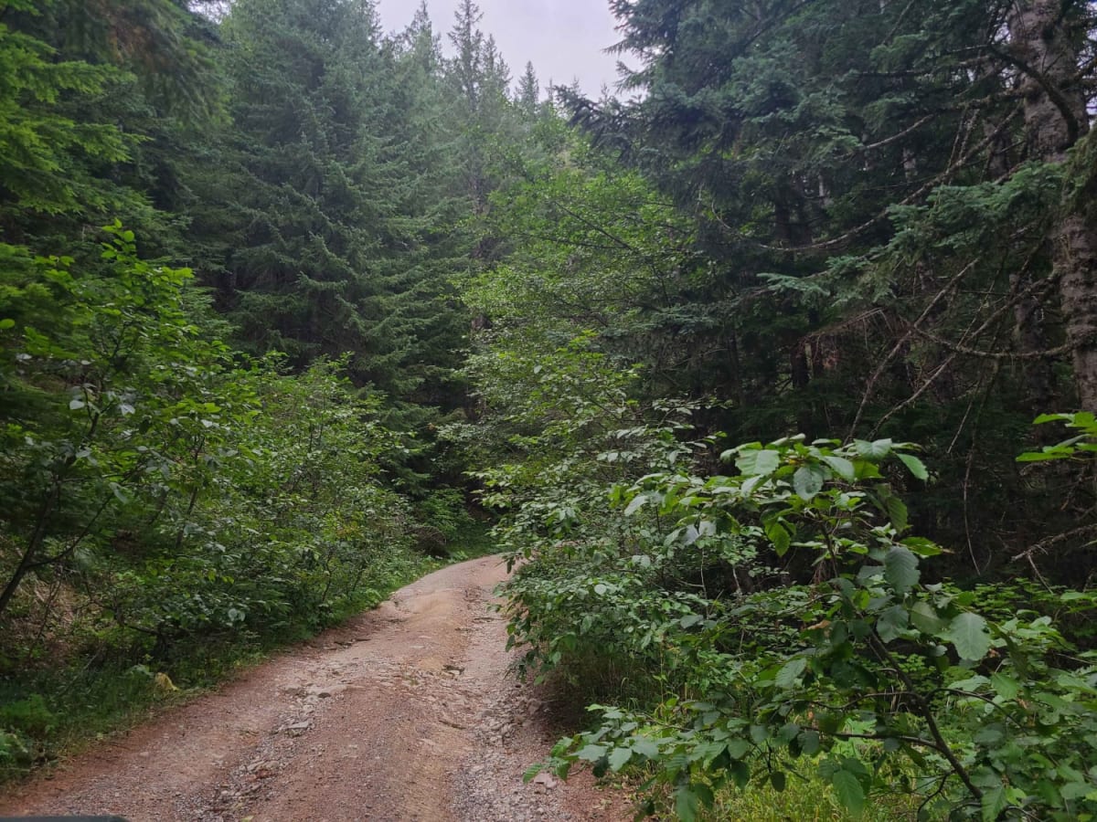 Campers Pass photo 6
