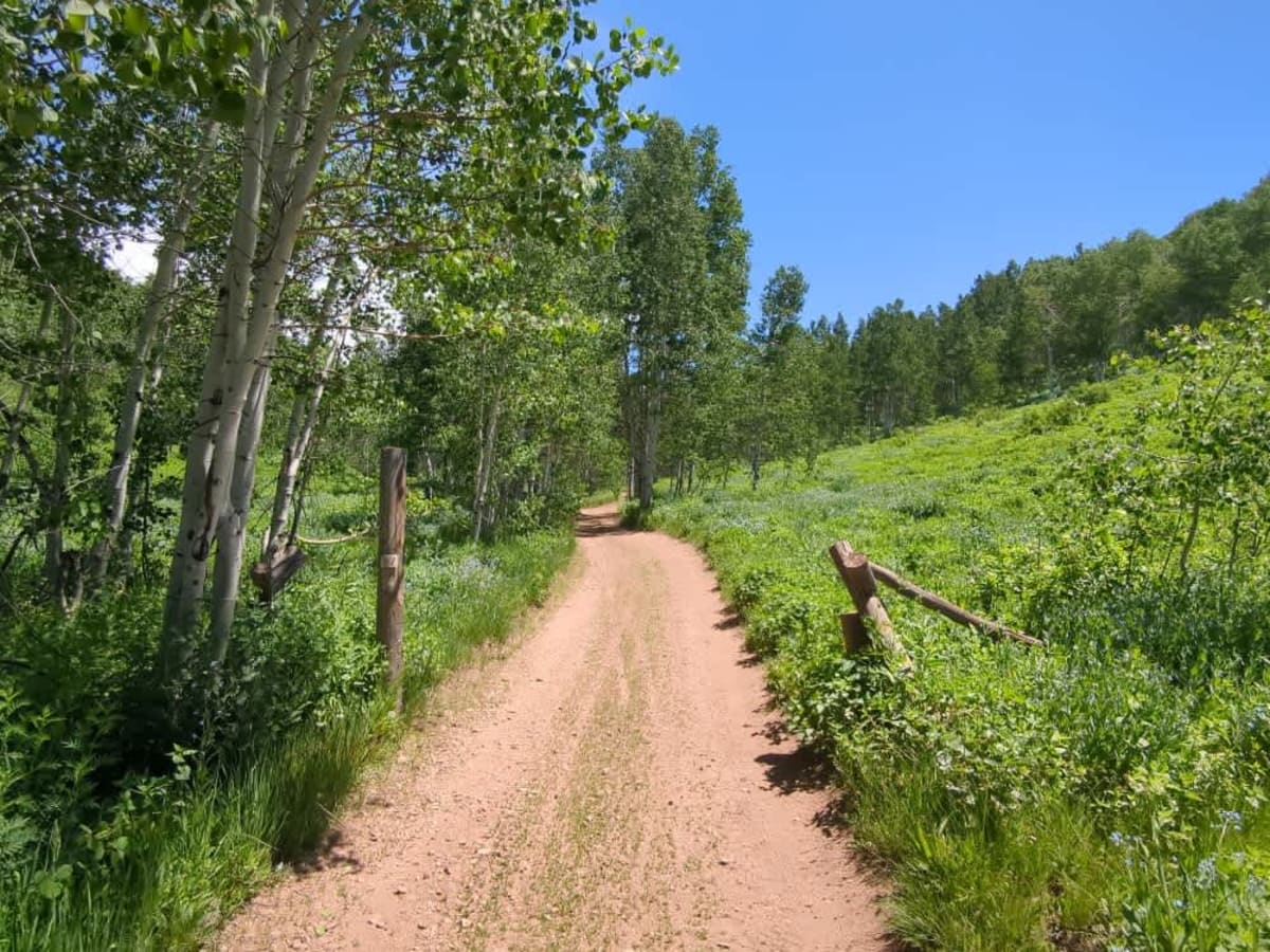 Dry Bread Upper ATV FS 6622 trail photo