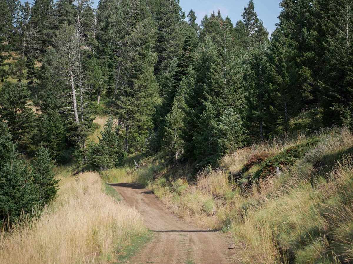 Fairy Creek - FS 500 photo 3