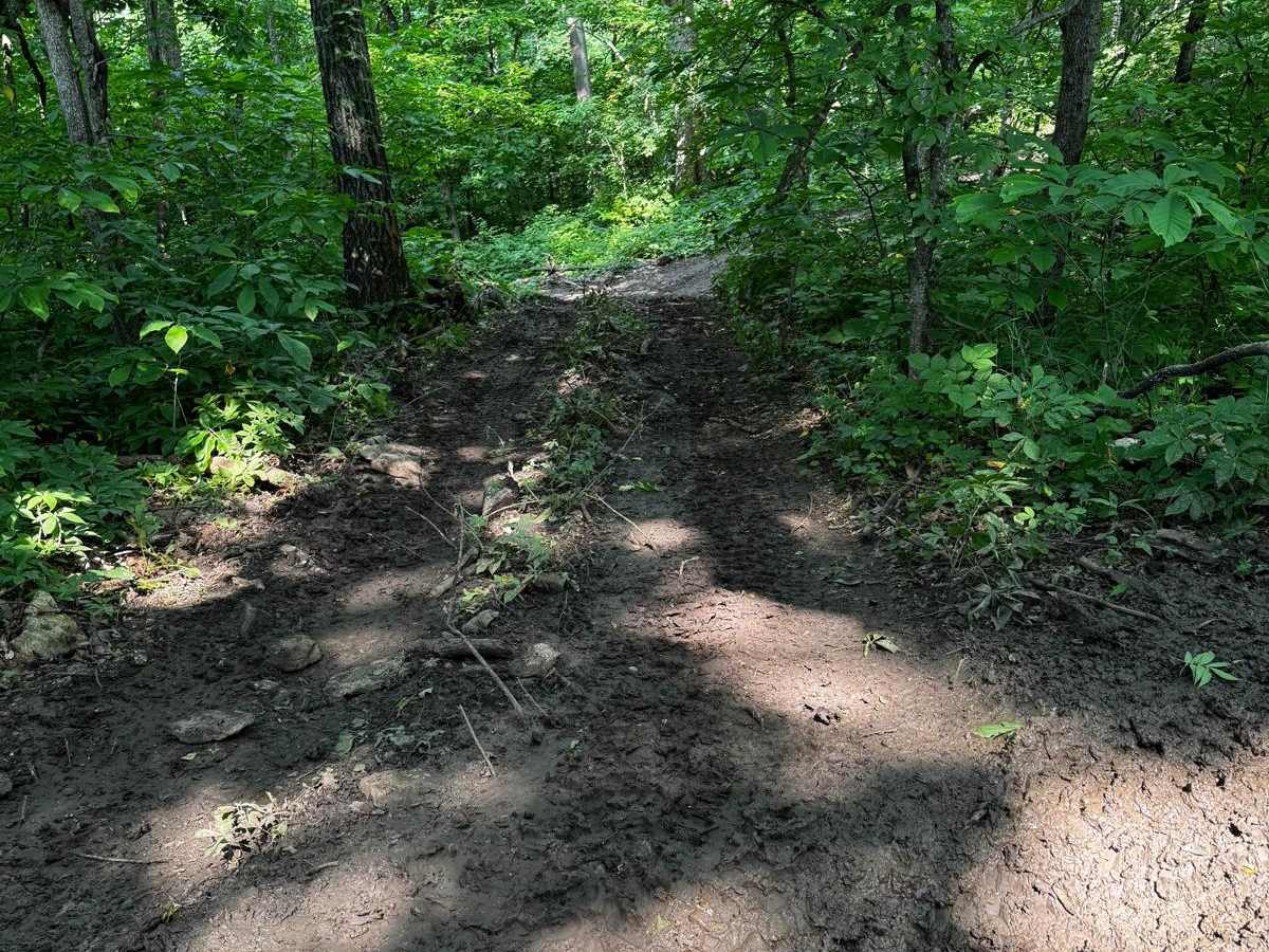 Green 95 trail photo
