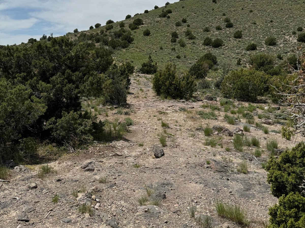Davis Mountain Pass photo 2