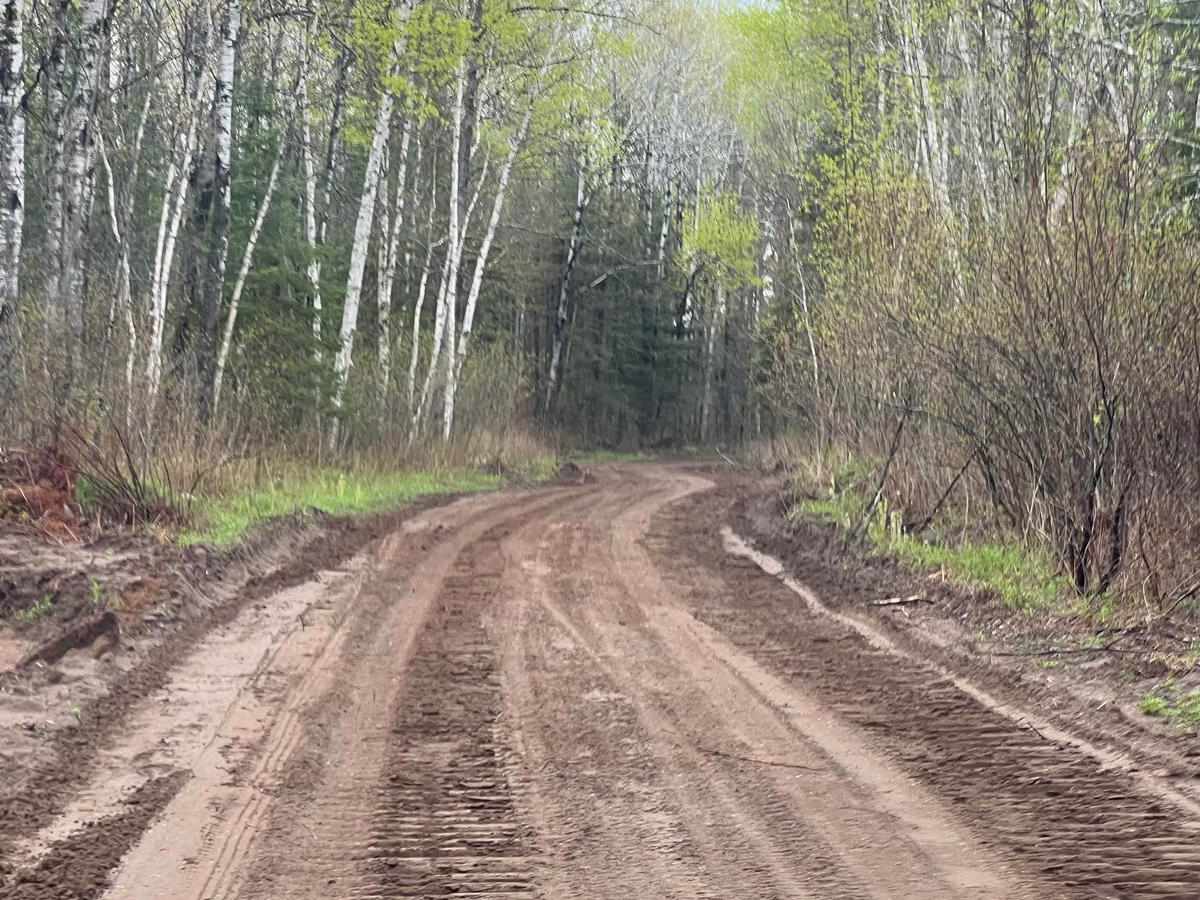 Hulligan Lake & Carol Truck Trail photo 6