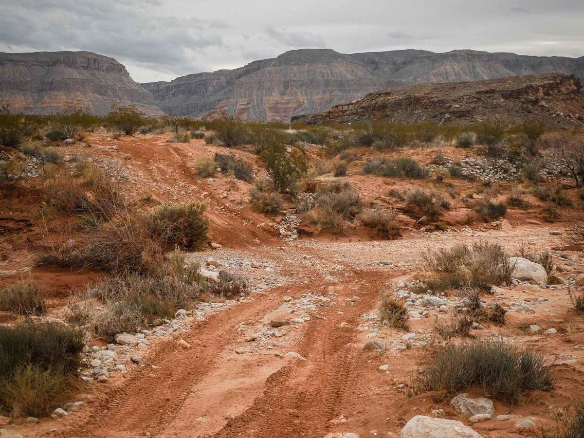 1594 ATV photo 2