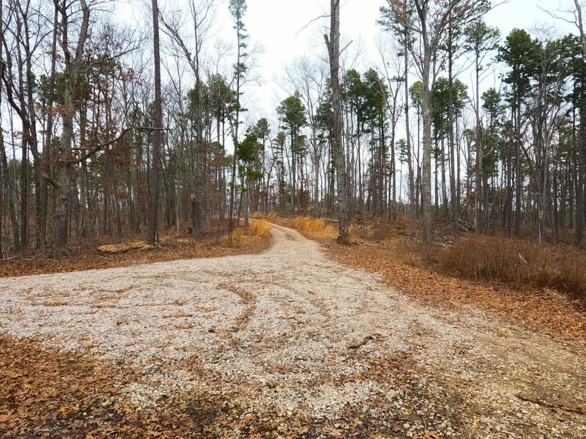 Snapps Hollow - FS 2698 photo 6