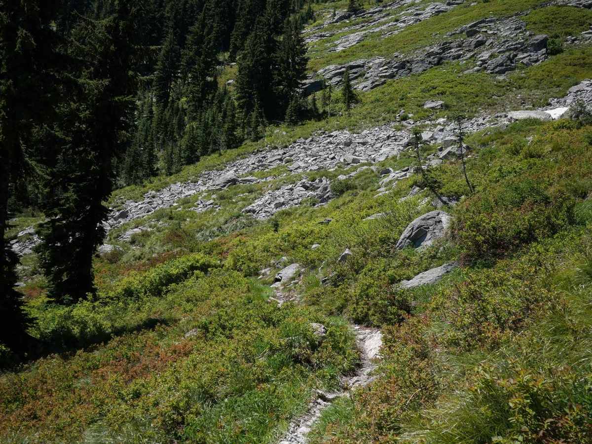 Junction Mountain photo 2
