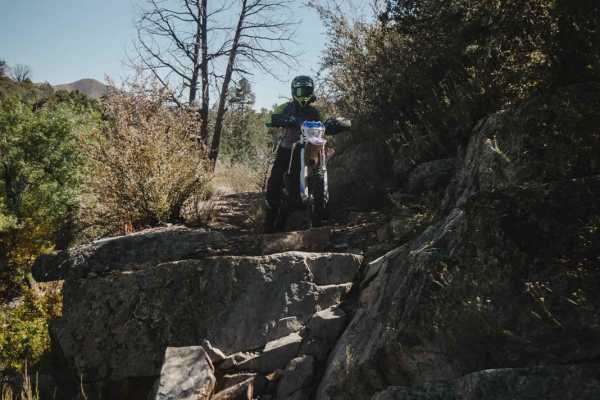 Pine Creek