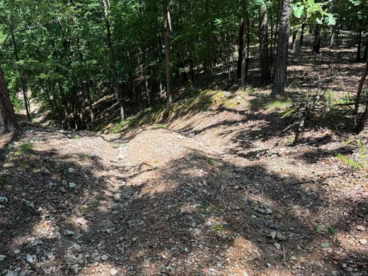 Joey's Trail trail photo