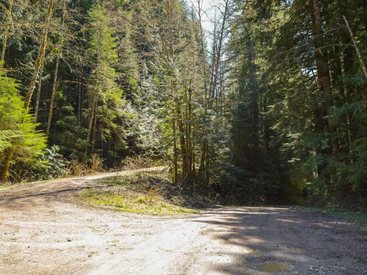 Texas Pond Road photo 4