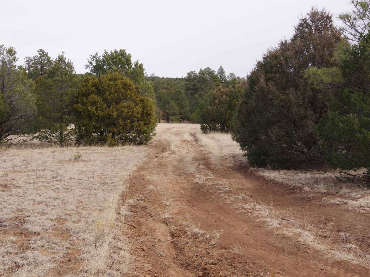 Valle Grande East Cut photo 2
