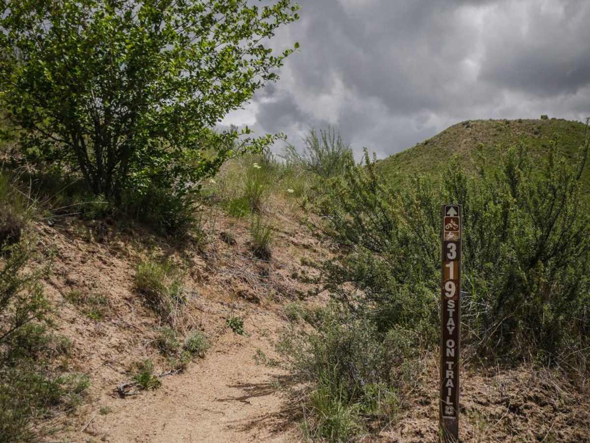 319 trail photo