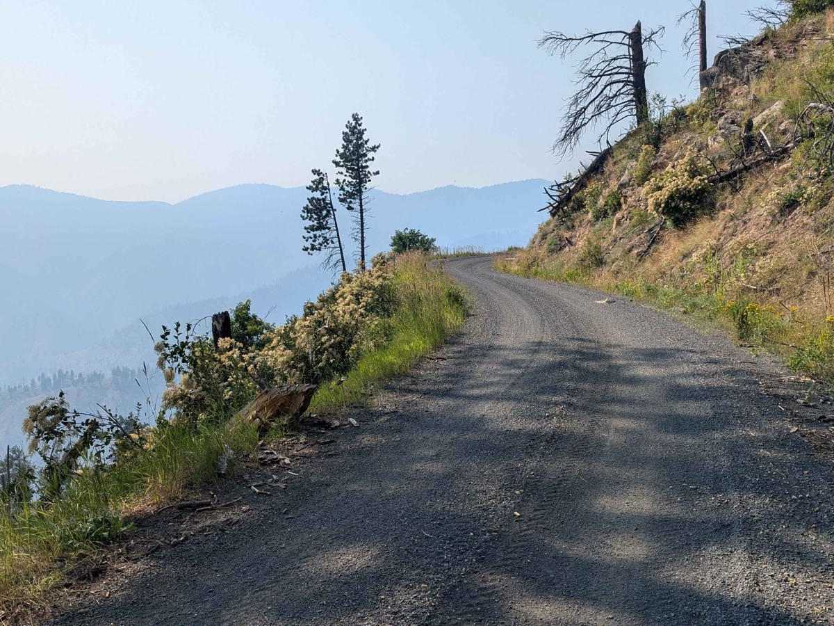 NF 221 - C/FDR Grangeville - Salmon Road trail photo