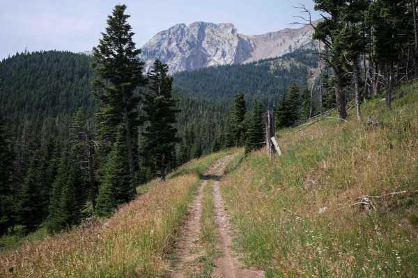 South Fork Flathead Creek