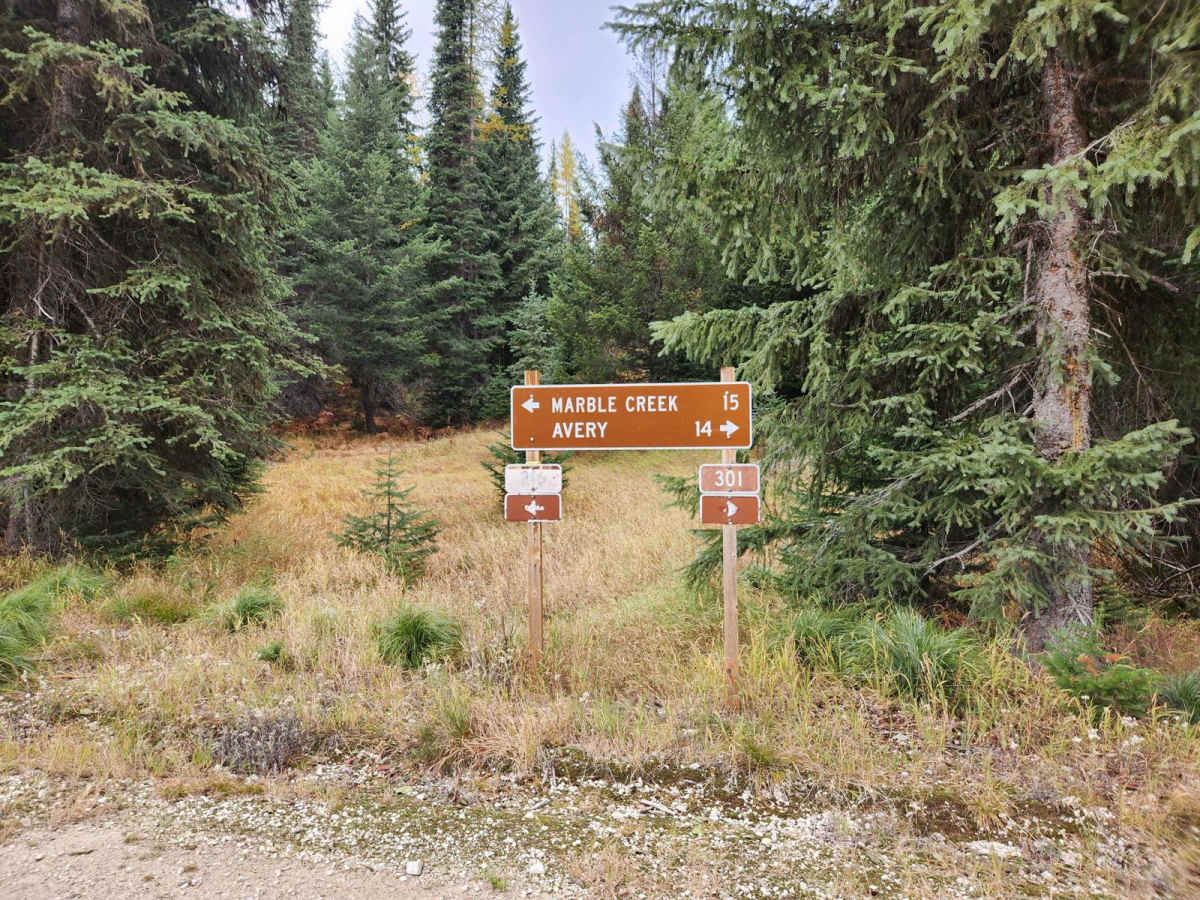 Fishhook-Gold Center photo 6