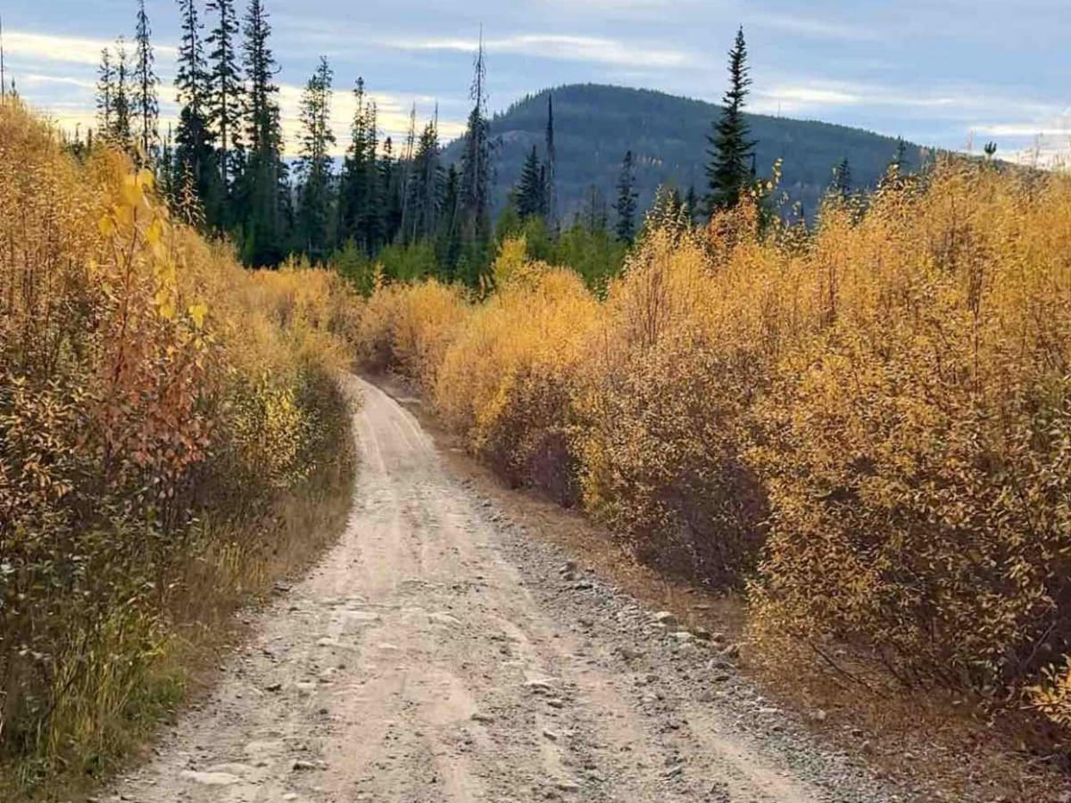 Chute-Gillard Connector trail photo