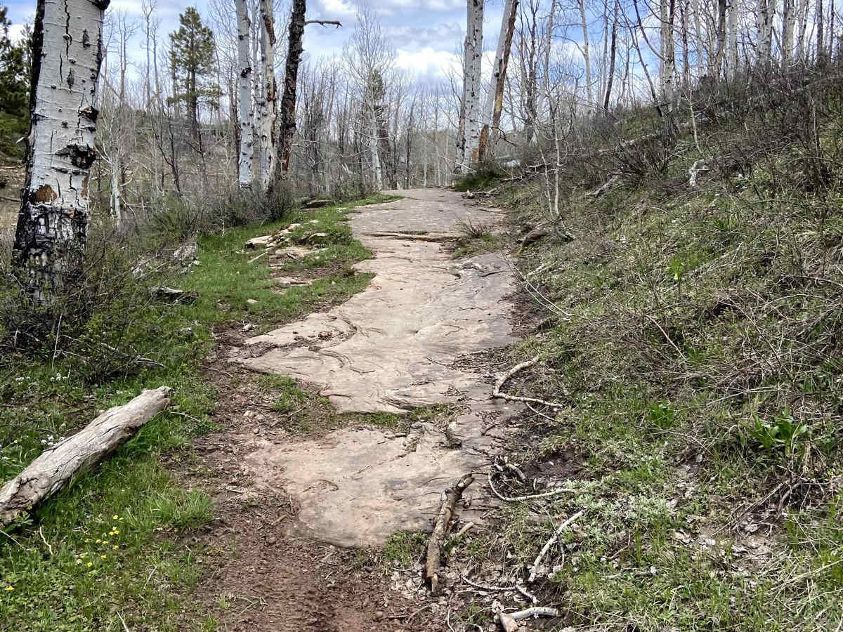 Massey Branch Trail photo 2