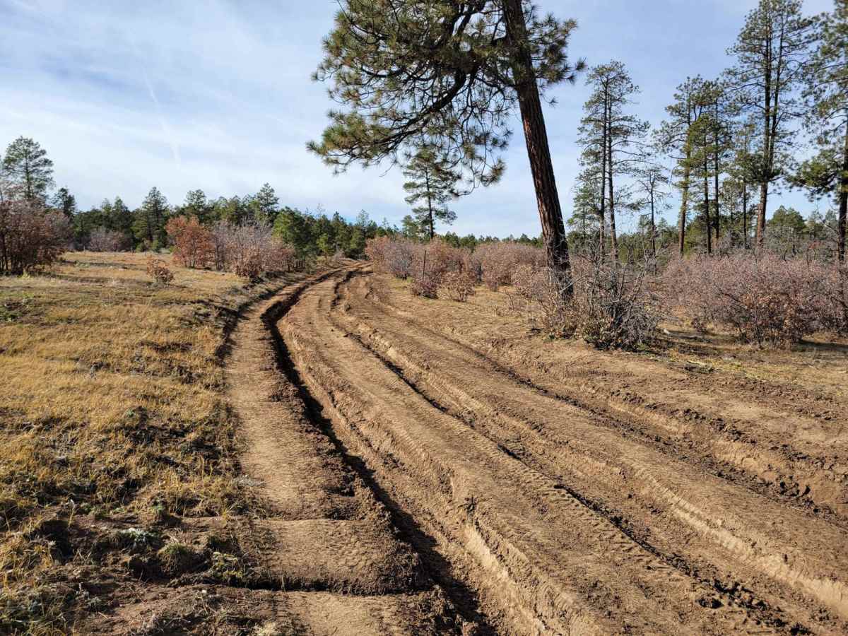 Pecos WIlderness Border Road photo 3