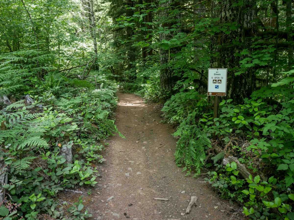 Elmers #11 trail photo