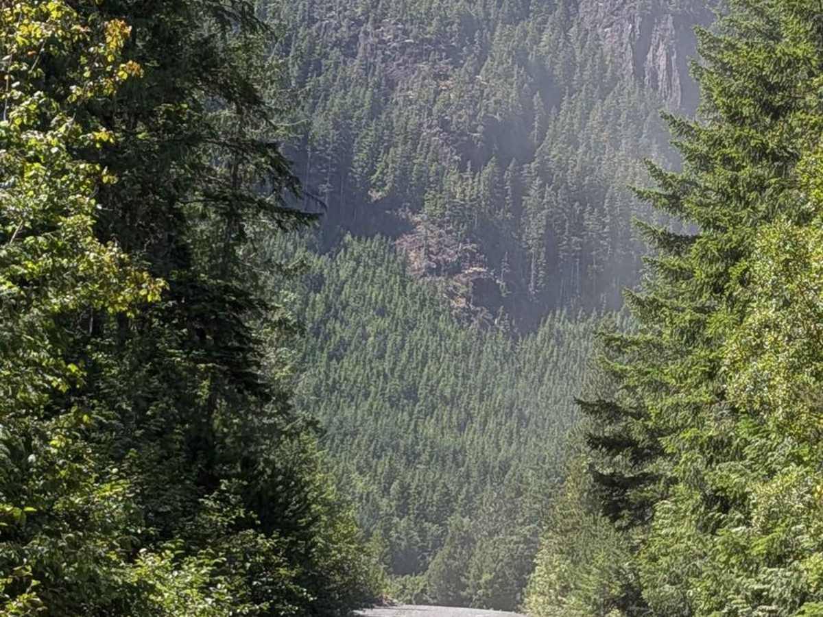 Atluck Lake photo 6