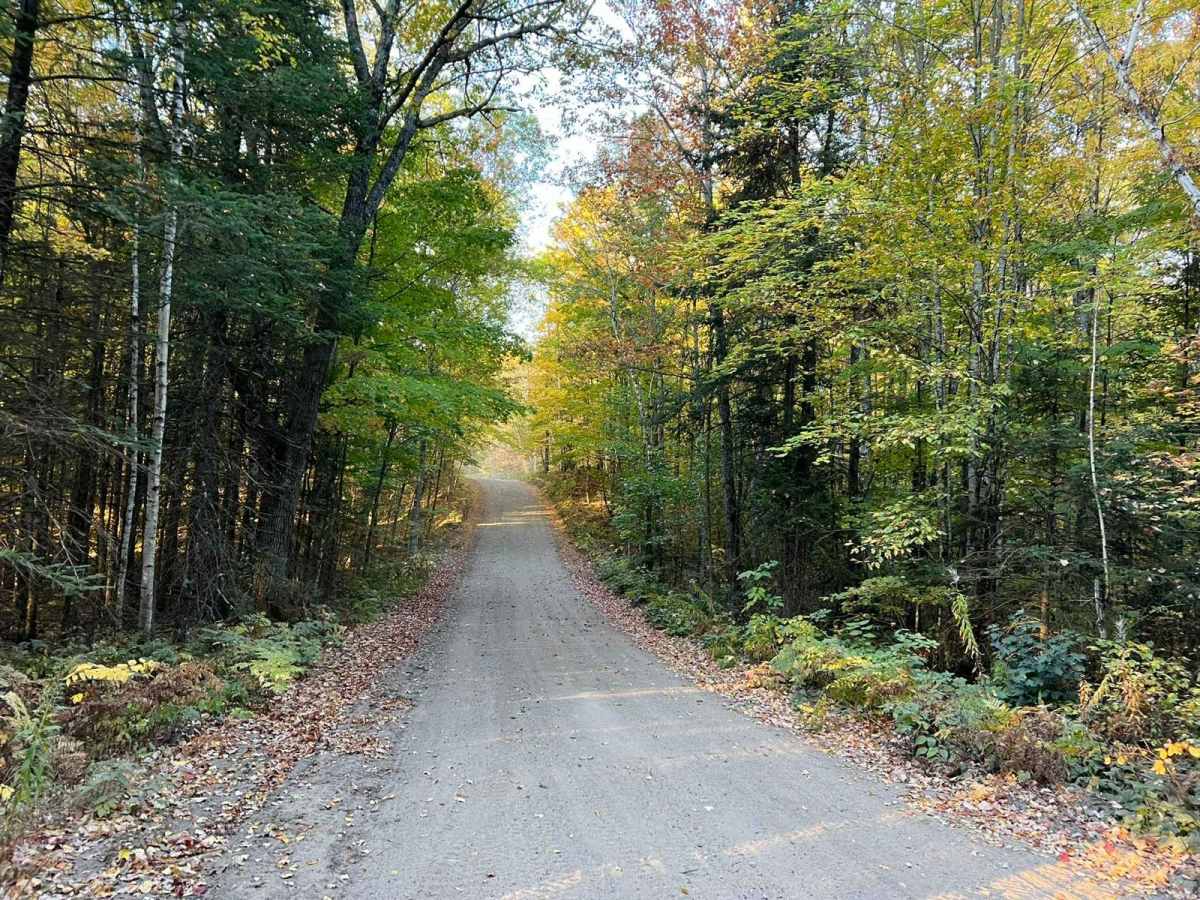 National Forest Road 1510 photo 6