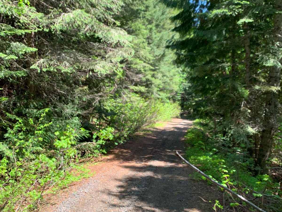 Shattuck Butte trail photo