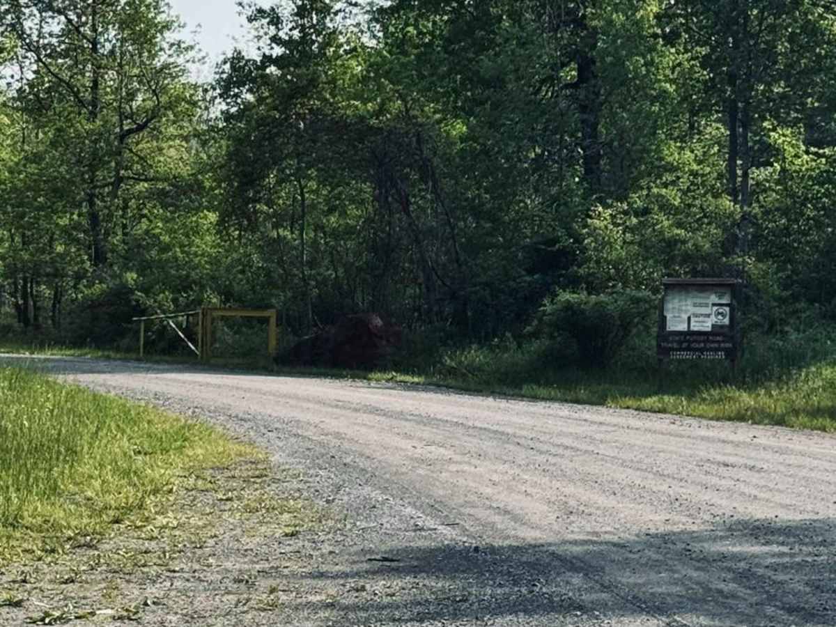 Strip Mine Road/Pot Ridge Road photo 5