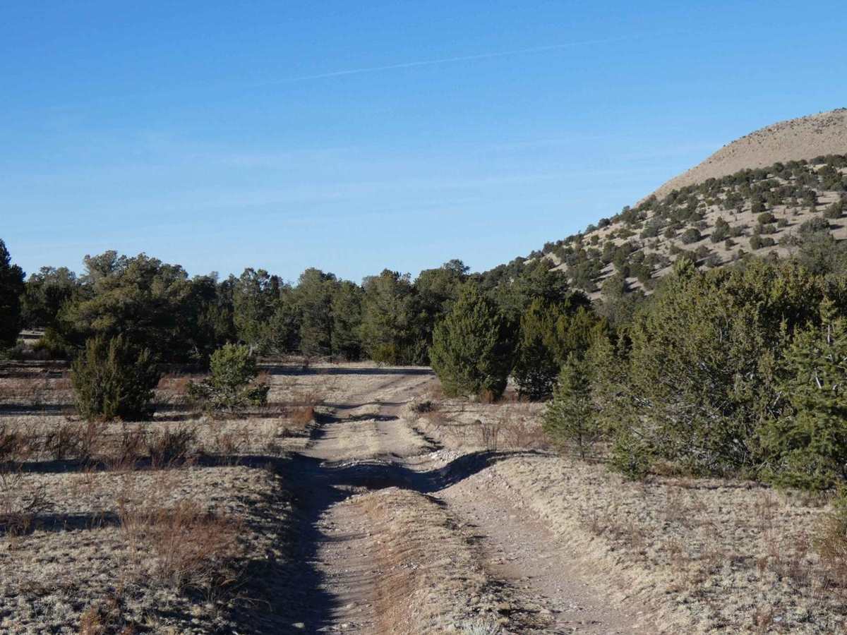 Cerro Pelon Base photo 5