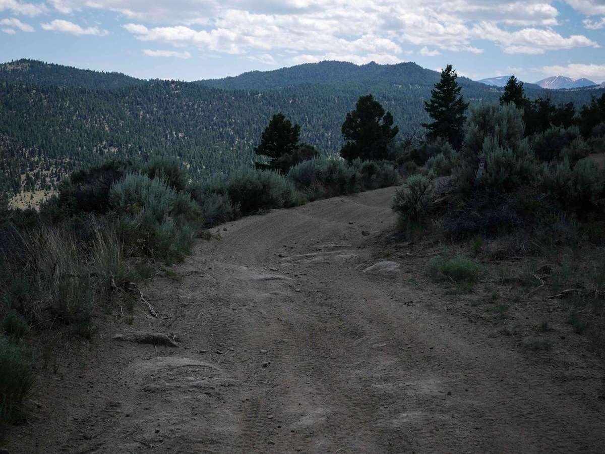 BLM 20 photo 6