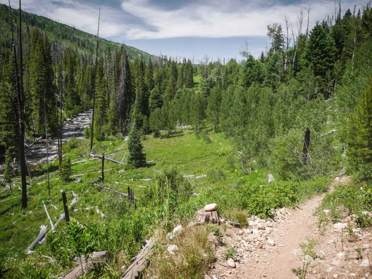Wyoming Trail trail photo