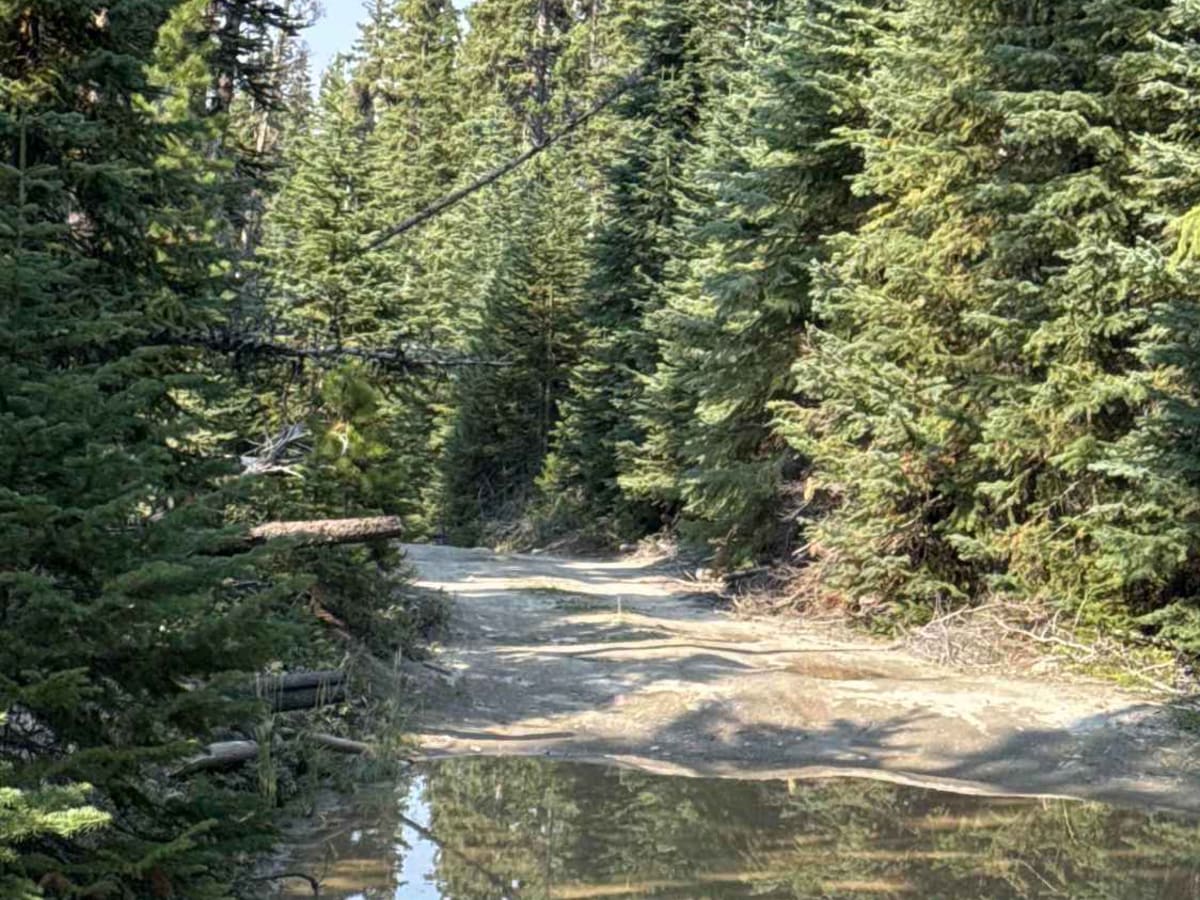 Pannask Lake Road photo 6