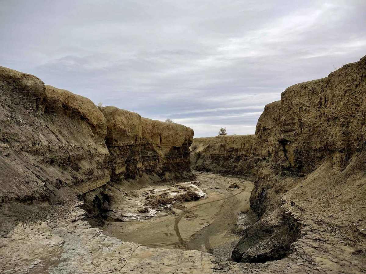 Canyon Wash - BLM 9188 photo 2