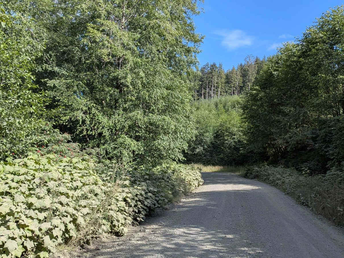 Southeast Main trail photo