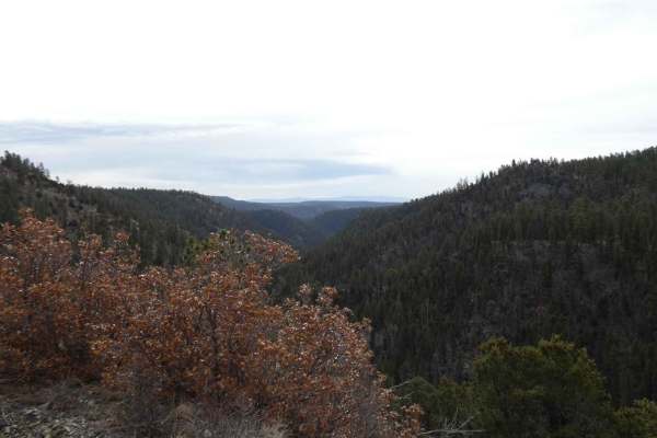 Vallecitos Pass
