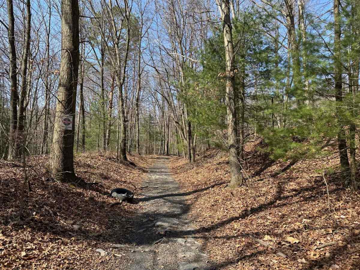 Ashland 103 trail photo