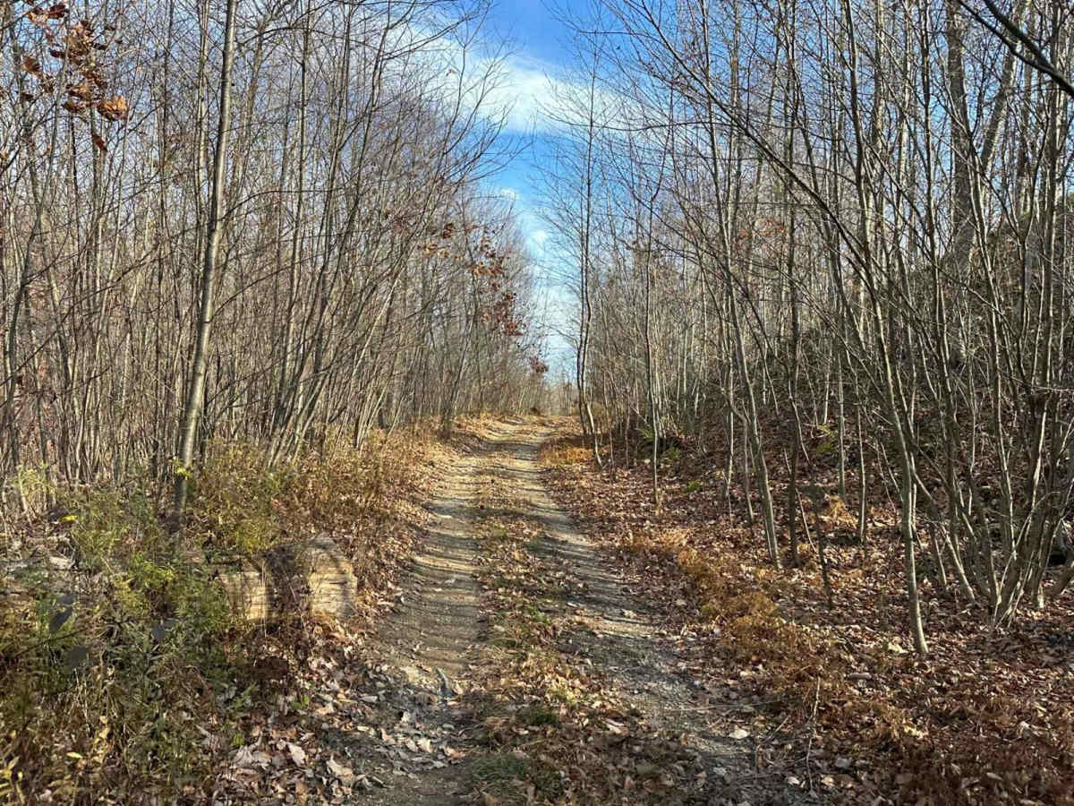 Ashland 160 trail photo