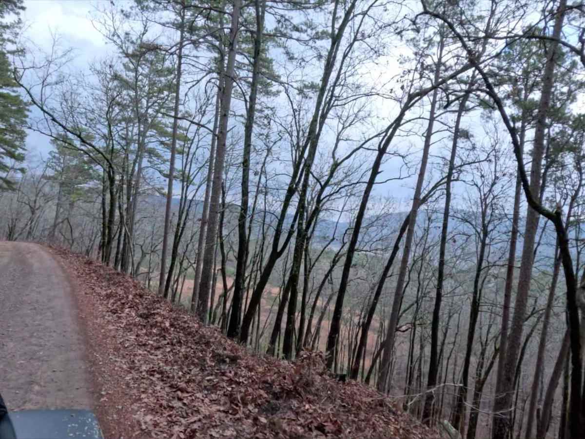 Seymor Road photo 6