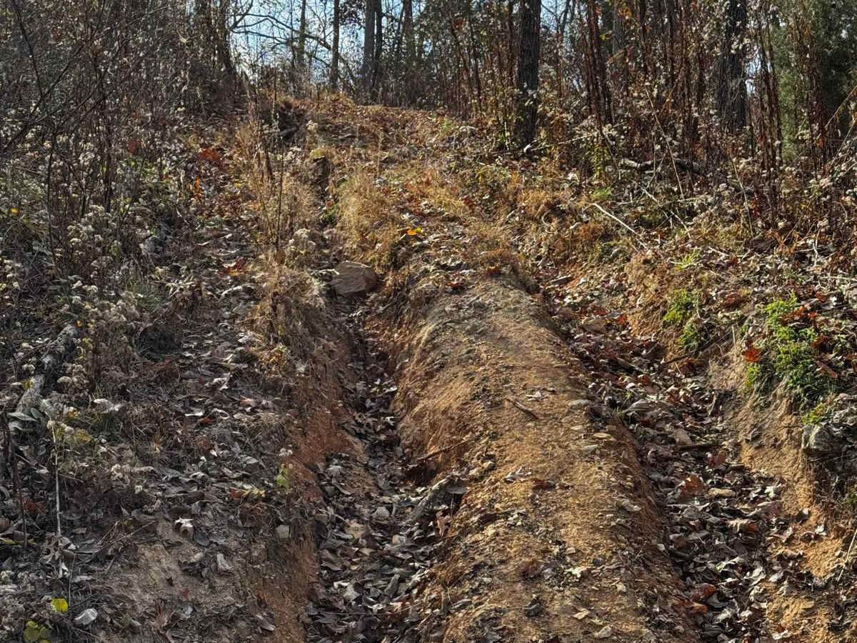 Skid Mark photo 2