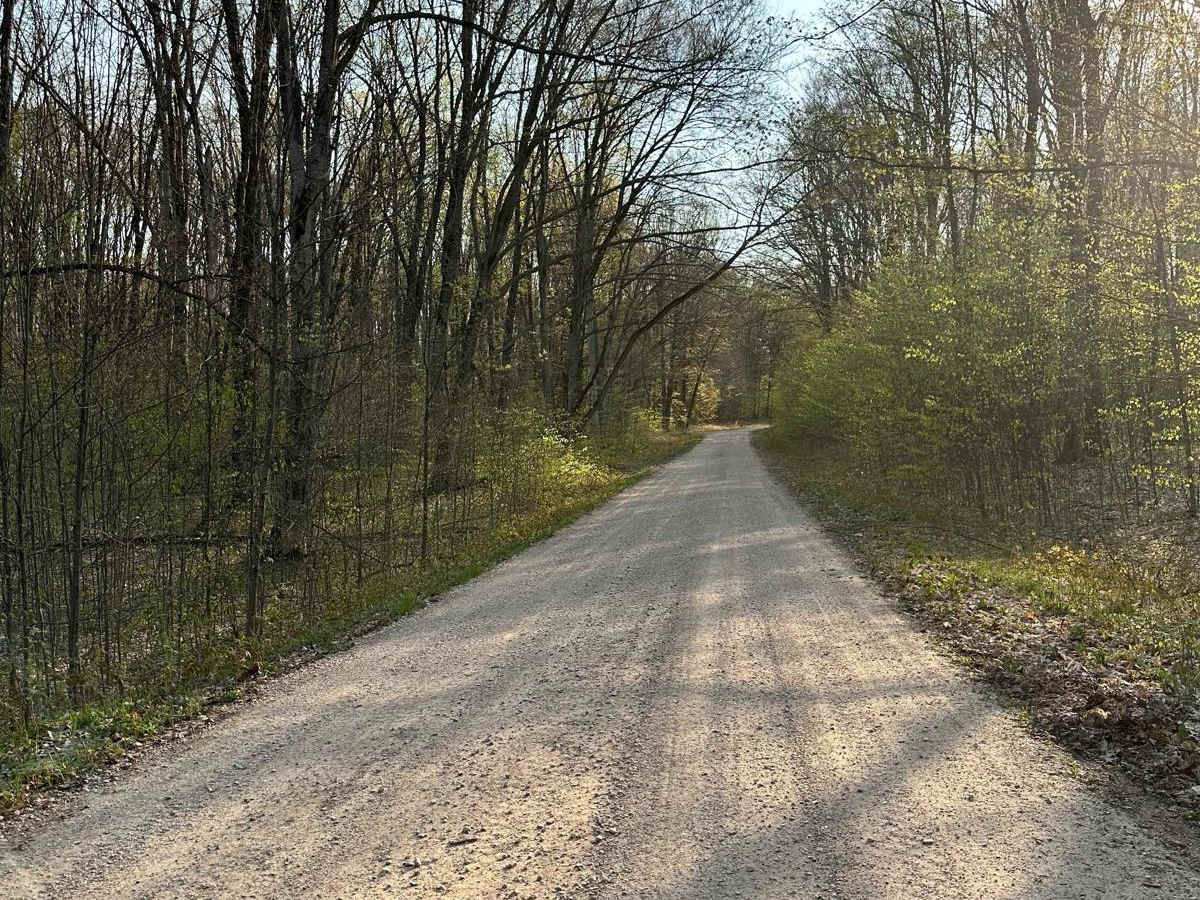 Cadillac Area ORV/OHV Scenic Ride - Part 3 photo 4